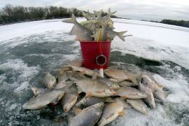 Зимняя рыбалка на мормышку