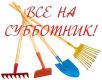 Субботники, проведенные на территории Вороновского сельского поселения в апрель - май 2019 года