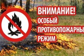 Особый противопожарный режим действует на территории всей Томской области с 15 мая