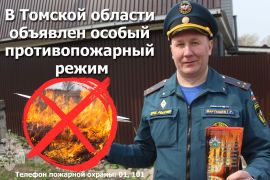С 15 мая особый противопожарный режим действует на территории всей Томской области
